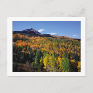 Cartão Postal "Mt. Baldy - Aspen Tree Flow"