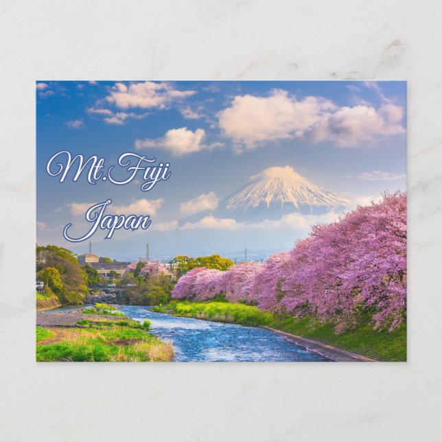 Cartão Postal Mt. Fuji Japan River, Cherry Blossom Primavera (Frente)