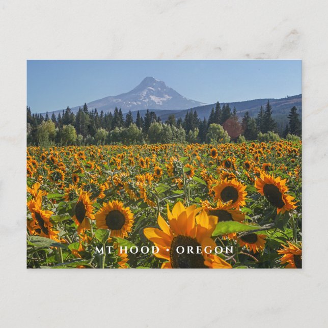 Cartão Postal Mt Hood | Oregon (Frente)