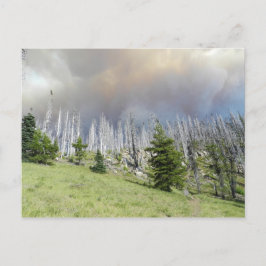 Cartão Postal Mt. Jefferson Wilderness