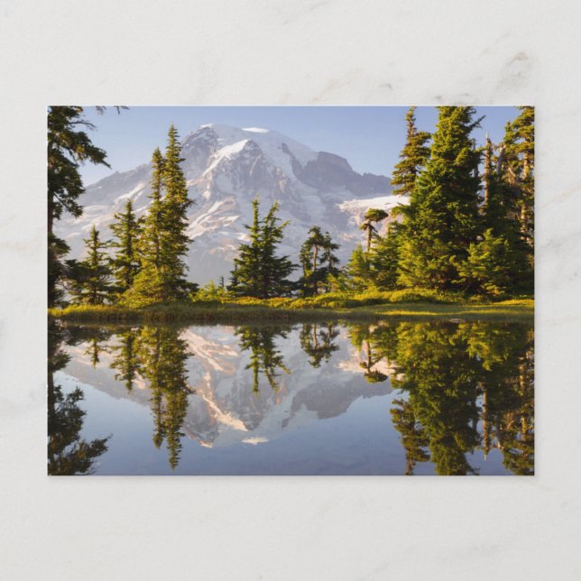 Cartão Postal Mt. Rainier refletido em um tarn perto de Plummer  (Frente)