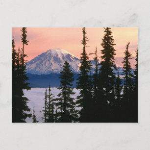 Cartão Postal Mt. Ranier, Washington