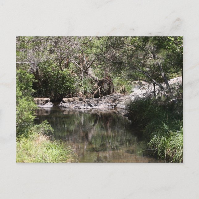 Cartão Postal Mt Tamborine #3 (Frente)