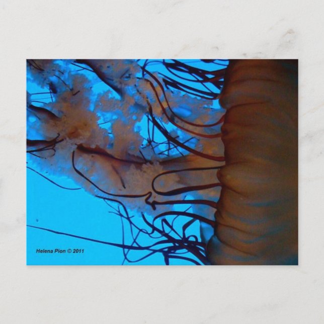 CARTÃO POSTAL MTV 2 (Frente)