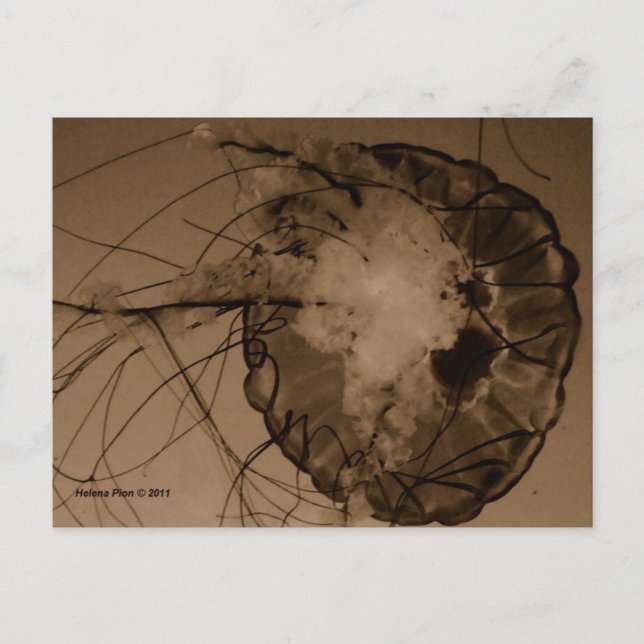 CARTÃO POSTAL MTV 4 (Frente)