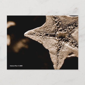 CARTÃO POSTAL MTV 7