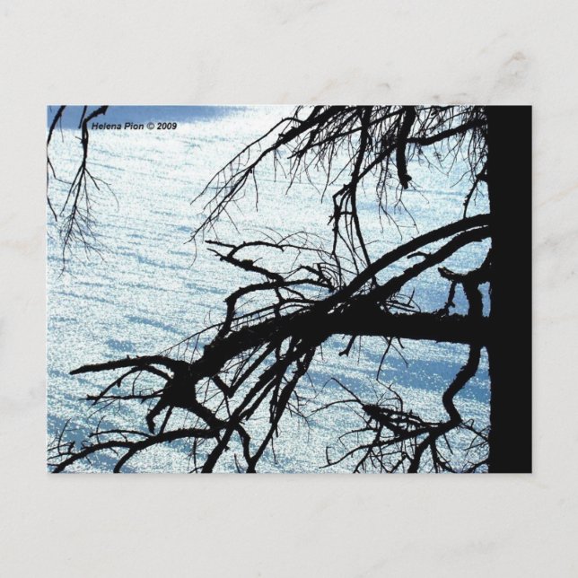 CARTÃO POSTAL MTV 9 (Frente)