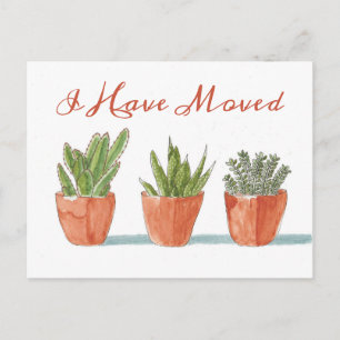 Cartão Postal Mudança de Endereço   Mudei de Casa   Cactus Aquar