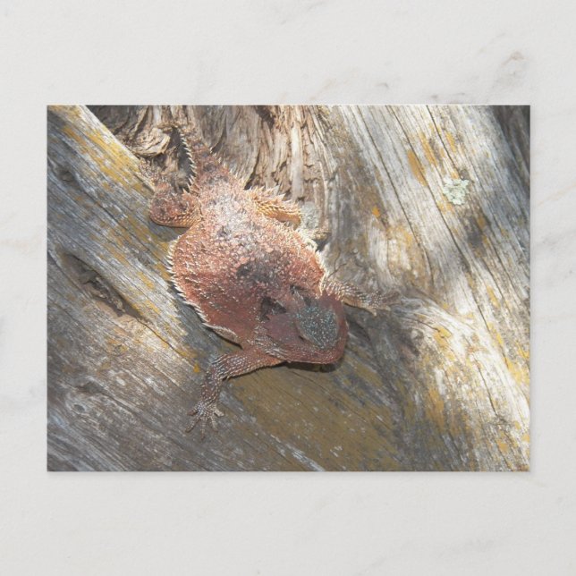 Cartão Postal mudou o nome para "Morango" (Frente)