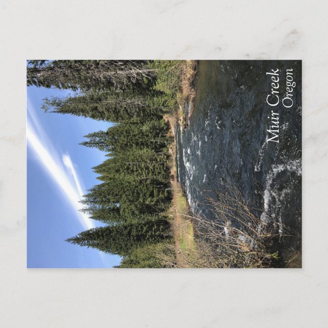 Cartão Postal Muir Creek (Frente)