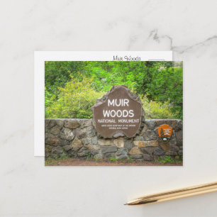 Cartão Postal Muir Woods National Monument – California Redwood