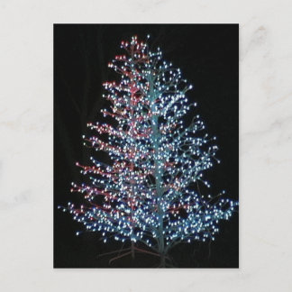 Cartão Postal Muito Brilhante!