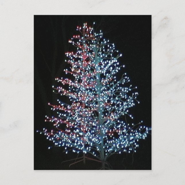 Cartão Postal Muito Brilhante! (Frente)