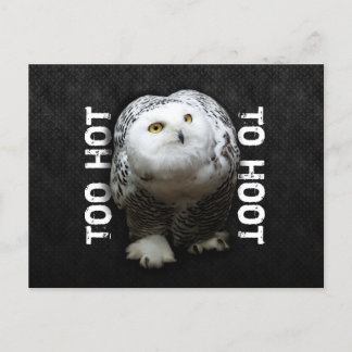 Cartão Postal Muito Quente Para Hoot