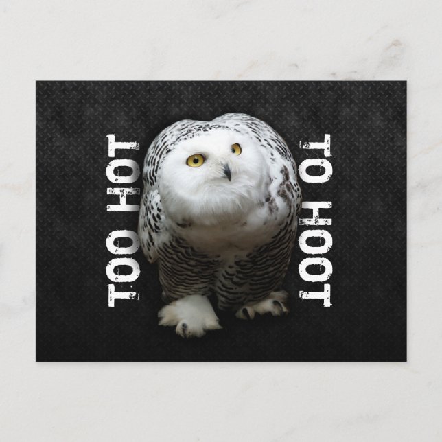 Cartão Postal Muito Quente Para Hoot (Frente)