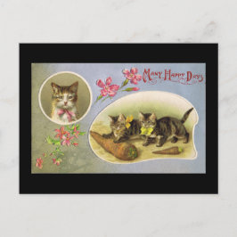 Cartão Postal Muitos dias felizes