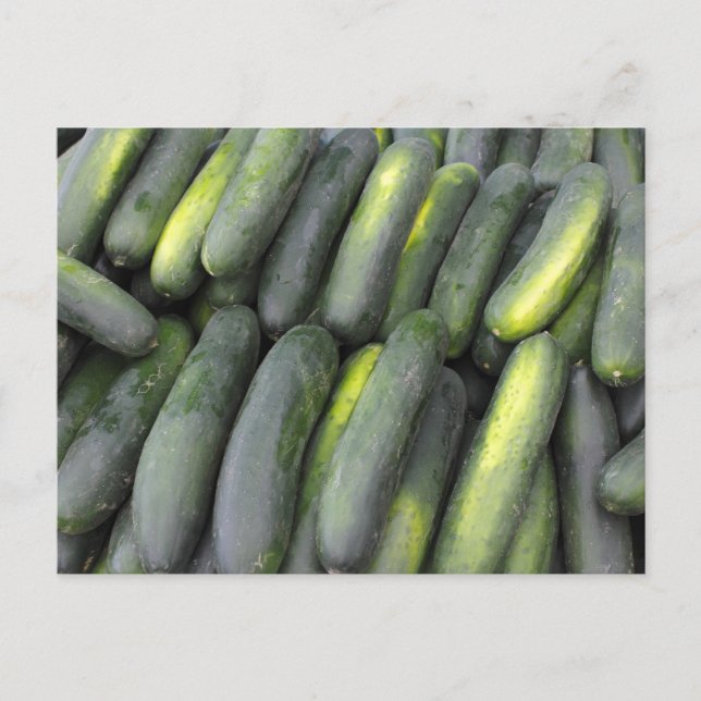 Cartão Postal Muitos pepinos para venda (Frente)
