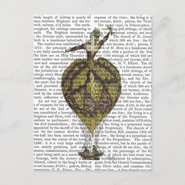 Cartão Postal Mulher Balão de Ar Quente 1 (Frente)