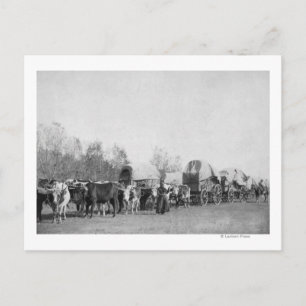 Cartão Postal Mulher com Comboio Ox segura fotografia chicote