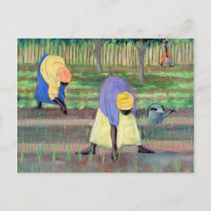 Cartão Postal Mulheres Jardineiras 2005