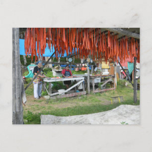 Cartão Postal Mulheres Nativas Preparam Salmão Para Secagem No A