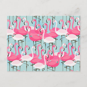 Cartão Postal Multidão Cor-De-Rosa E Branca De Flamingos