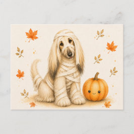 Cartão Postal Múmia de Afghan Hound no Halloween