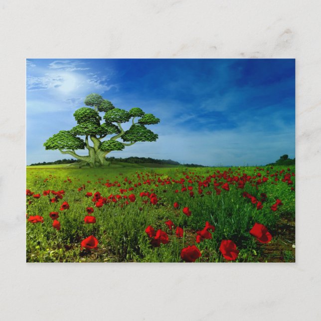 Cartão Postal Mundo maravilhoso (Frente)