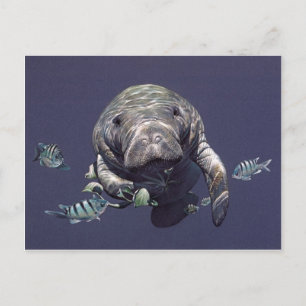 Cartão Postal Mundo subaquático do peixe-boi