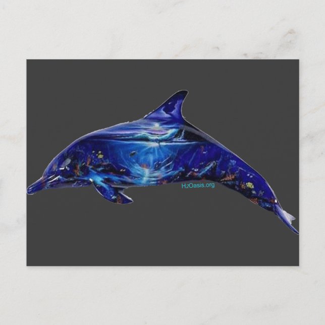 Cartão Postal Mural In Dolphin (Frente)