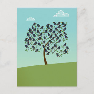 Cartão Postal Murmúrio de estorninhos