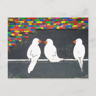 Cartão Postal muro de aves de capoeira: grafite