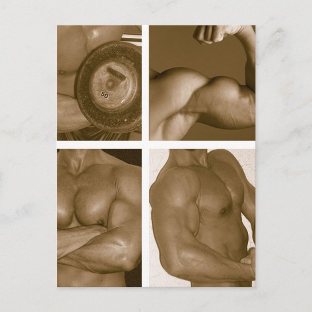 Cartão Postal Músculo Flex: www.AriesArtist.com (Frente)