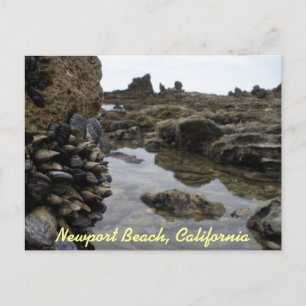 Cartão Postal Músculos de Newport Beach