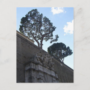 Cartão Postal musei vatacani