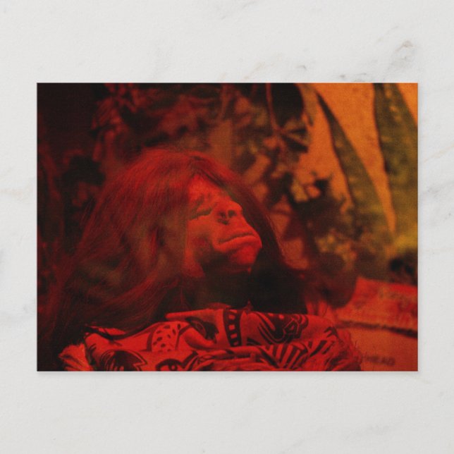 Cartão Postal Museu Believe it or Not de Ripley (Frente)