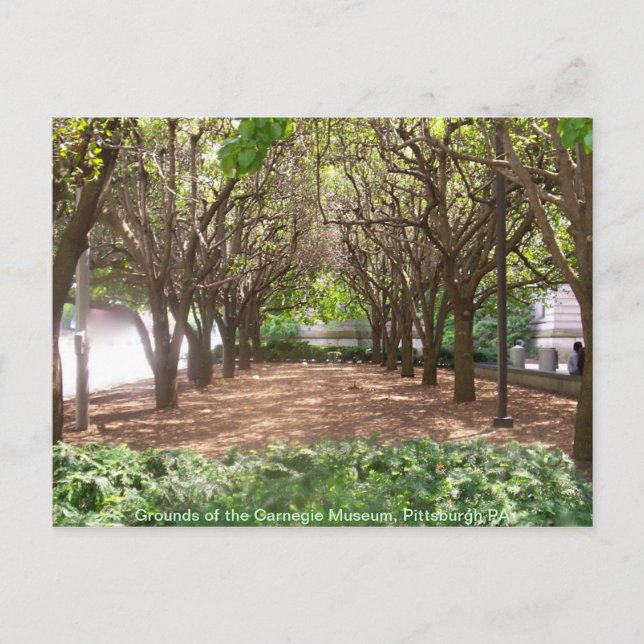 Cartão Postal Museu de Carnegie (Frente)