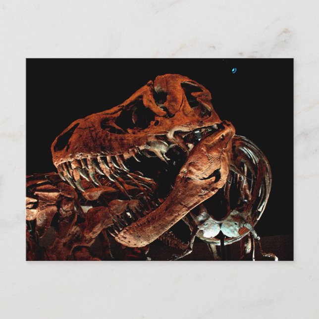 Cartão Postal Museu de Ciência Natural de Houston (Frente)