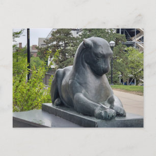 Cartão Postal Museu de História Natural, Ann Arbor, MI