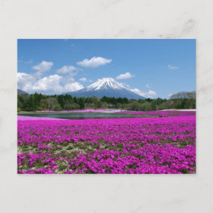 Cartão Postal musgo rosa e Monte Fuji ao fundo