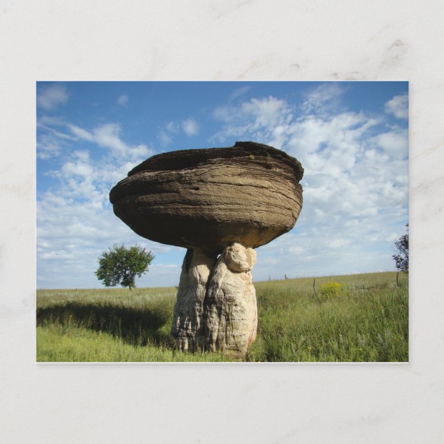 Cartão Postal Mushroom Rock (Frente)