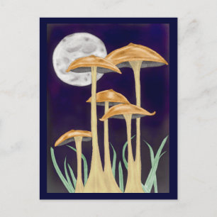 Cartão Postal Mushrooms in Moonlight