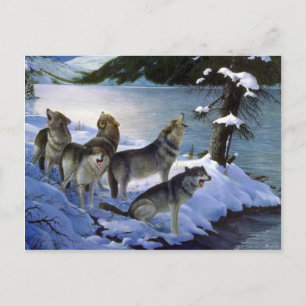 Cartão Postal Música de lobo, Lobos