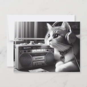 Cartão Postal música de locação de gatos