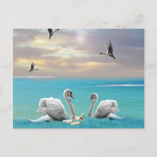 Cartão Postal Música Do Cisne Branco,