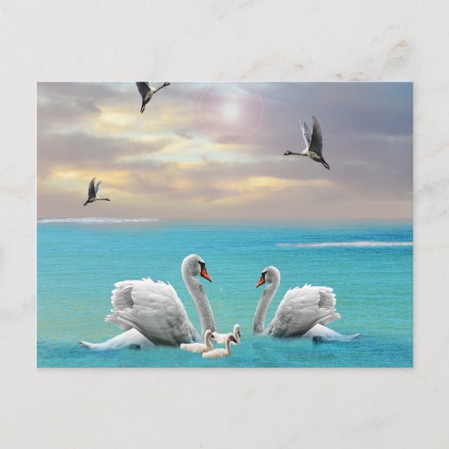 Cartão Postal Música Do Cisne Branco, (Frente)