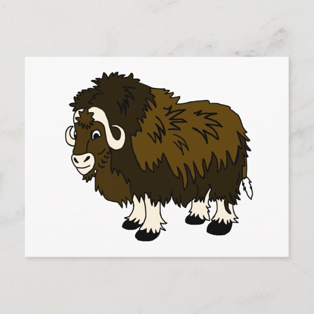 Cartão Postal Musk Ox (Frente)