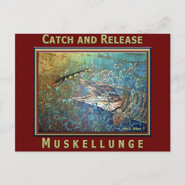 Cartão Postal MUSKY C e R (Frente)