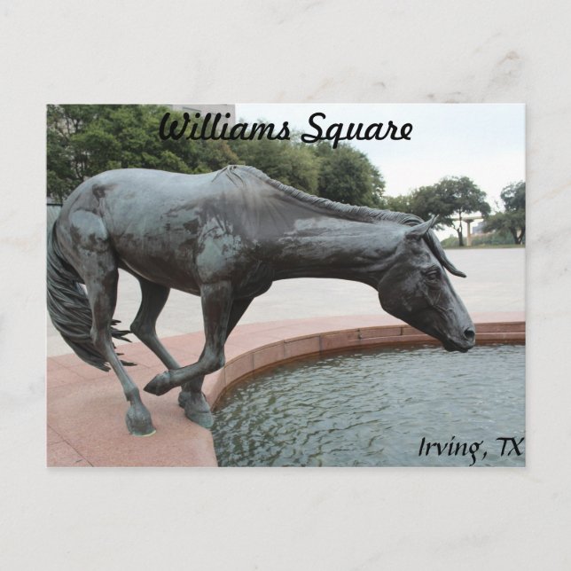 Cartão Postal Mustangs de Las Colinas # 1 (Frente)