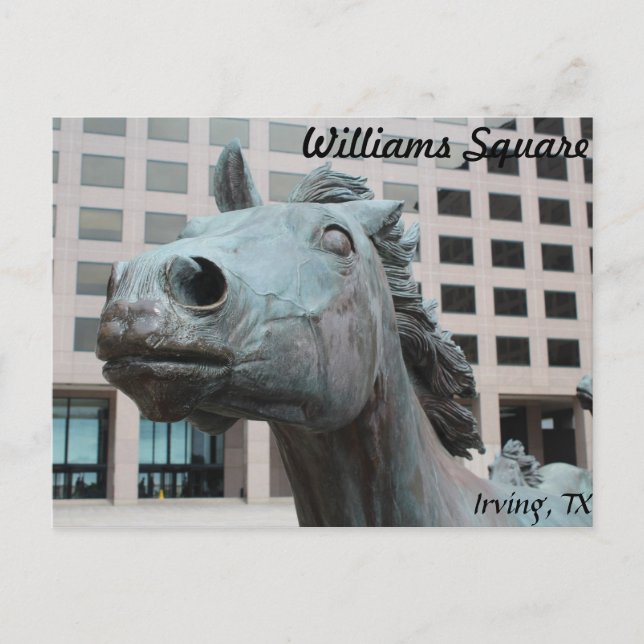 Cartão Postal Mustangs de Las Colinas # 22 (Frente)